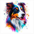 Un border collie dans un tourbillon de couleurs