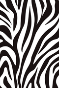 Nature Graphique : Motif Zébré