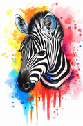 Explosion of colours zebra