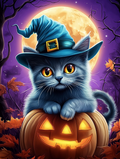 Le chat sorcier et la citrouille magique
