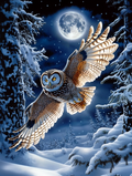 Ein stiller Tanz am Winterhimmel