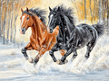 Un duo majestueux dans un décor hivernal