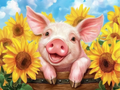 Piglet and Sunflowers: A Perfect Day
