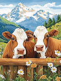 Zwischen Margeriten und Bergen