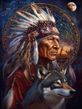 Die Seele des Schamanen und die Kraft des Wolfes