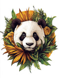 Der Sonnenbär