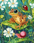 L’escargot, la coccinelle et la grenouille