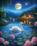Cygne solitaire au clair de lune