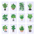 Set of 12 Mini Diamond Painting – Houseplants