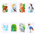 Lot de 8 Mini Diamond Painting – Oiseaux du Monde